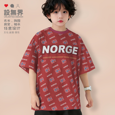 挪威Norway国旗标志速干T落肩T恤