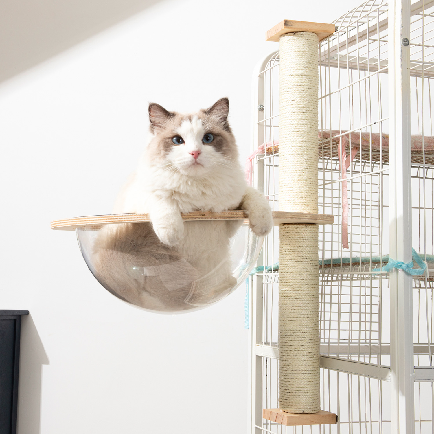 太空舱剑麻猫抓板爪器用品平台