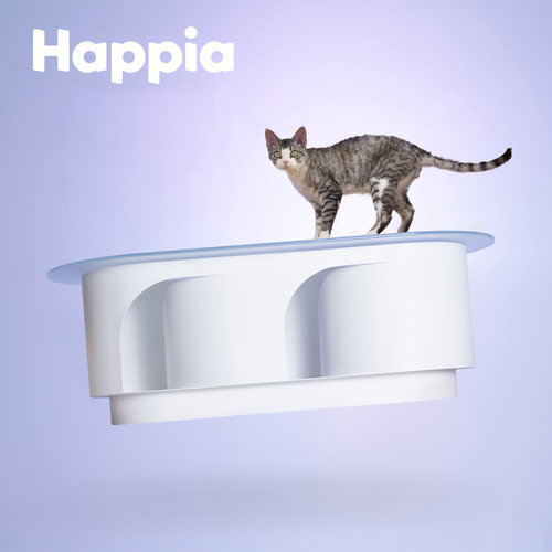 夏季赠礼｜全国寻找装修的猫主子
