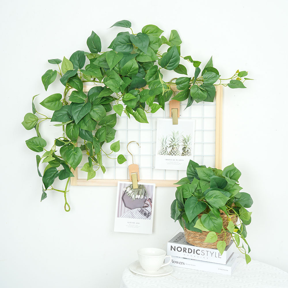 ins仿真藤条绿萝叶装饰假树叶绿植创意房间橱窗布置壁挂遮丑水管