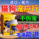 宠应行牛肉锭富狗狗皮肤真菌专病感染用药特狗脱癣瘙毛痒效口服药