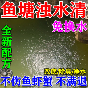 鱼塘净水剂池塘变清解毒改善水质改底除臭去腥水产养殖专用浊水清