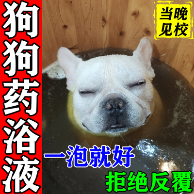 【狗狗药浴皮肤病真菌感染狗癣】