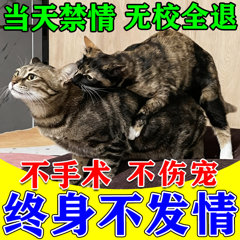 猫咪发情抑制药母猫专用防乱叫乱尿避孕终身绝育公猫禁情粉液喷雾,宠物/宠物食品及用品,猫狗通用营养膏,淘宝优惠券,粉丝福利购,淘宝优惠卷