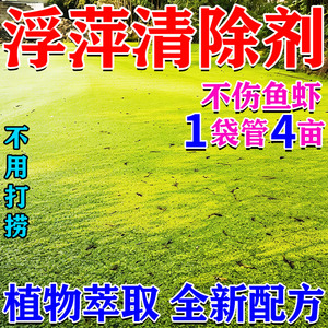 鱼池浮萍清除剂不伤鱼虾蟹免打捞