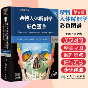 翻译版 解剖学学习 解剖实验室实践 奈特人体解剖学彩色图谱 刷新其自身 第8版 与病人分享解剖学知识 解剖学知识 系统解剖学