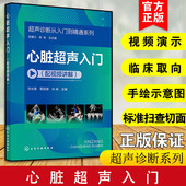 超声诊断从入门到精通系列 声声像图与解剖图对应关系 声断面图 手绘示意图讲解 病例典型诊断和鉴别诊断指南 体位图 心脏超声入门