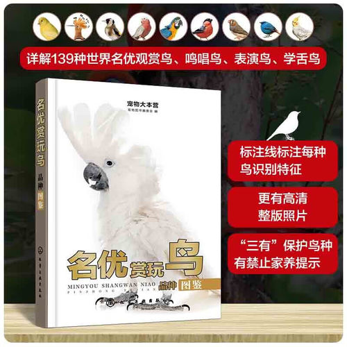 名优赏玩鸟品种图鉴 宠物大本营 每种鸟类识别特征 鸟类结构 生活习性 产地和主要栖息地 饲养及驯化注意事项 世界各种鸟品种图鉴