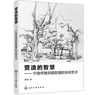 书籍 空间形态 智慧 审美特征 宁波传统民居院落 统民居院落 空间艺术 正版 形成背景 理论视野 营造