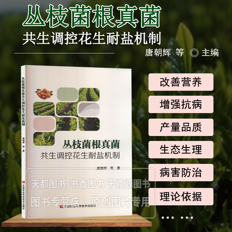 丛枝菌根真菌共生调控花生耐盐机制 盐碱地花生种植难题 解析真菌共生耐盐原理 耐盐种植解决方案 详解耐盐调控技术路径 土壤改良