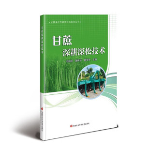 甘蔗深耕深松技术 甘蔗保护性耕作技术系列丛书 甘蔗种植技术指导书 深耕深松机械基础知识安全使用技术 维护保养故障诊断维修技术
