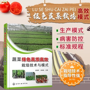 蔬菜绿色高质高效栽培技术与模式 日光温室环境调控露地蔬菜栽培土肥水管理农药病虫害绿色防控书籍 蔬菜绿色高质高效单项实用技术