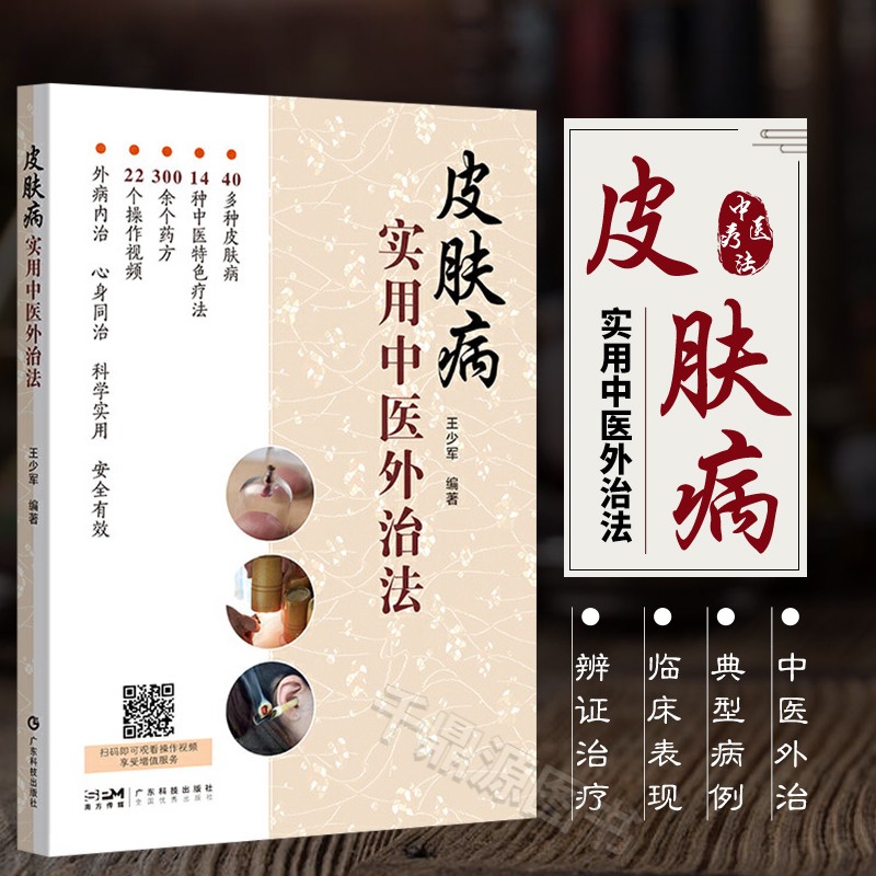 皮肤病实用中医外治法王少军著