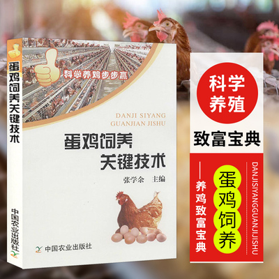 正版 蛋鸡饲养关键技术 高效养鸡技术大全 蛋鸡养殖技术大全 养鸡知识全书科学养殖家禽技术全书 鸡饲料配方手册书籍9787109173705