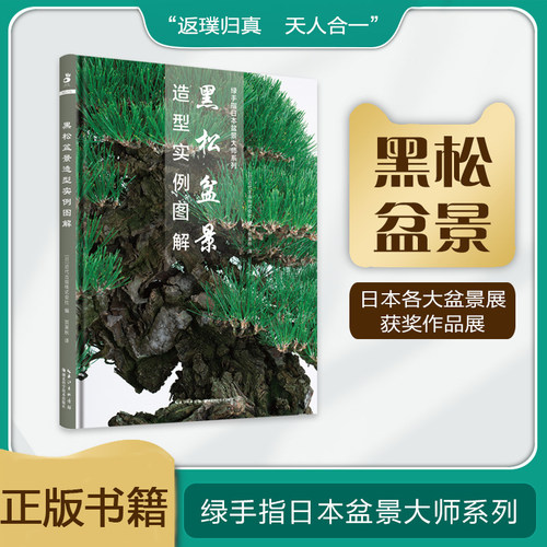 正版书籍 黑松盆景造型实例图解 贺寅秋盆景造型养护手册盆景制作教材树木盆景造型设计盆景制作与养护家庭园艺栽培书观赏园艺书籍