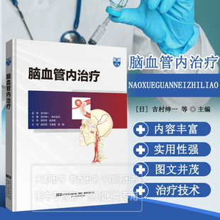 正版书籍 脑血管内治疗 温志锋 王春雷 胡鹏 等 著 脑血管治疗设备设置到导引导管引导技术造影设备使用 内科学医学书籍 临床医学