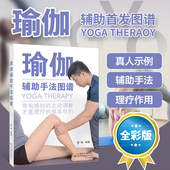 被动加强辅助手法 主动拮抗辅助手法 天津科技翻译出版 书籍 社 瑜伽基础入门 瑜伽辅助手法图谱 瑜伽辅助手法教程 正版 瑜伽书籍