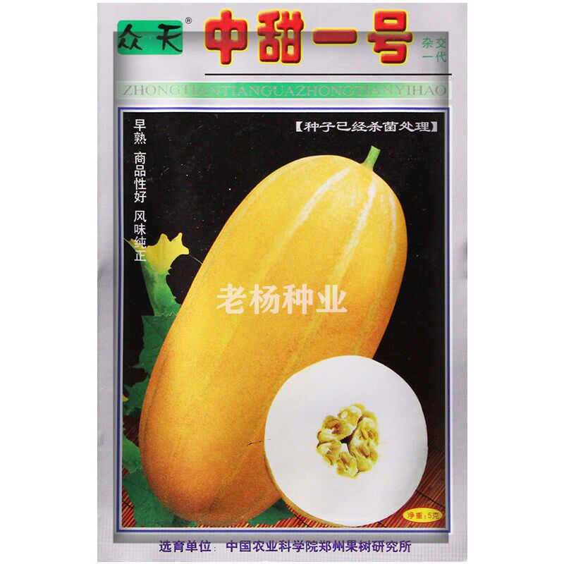 黄金蜜甜瓜种子中甜一号黄金道黄皮香瓜种籽超甜脆早熟高产耐低温