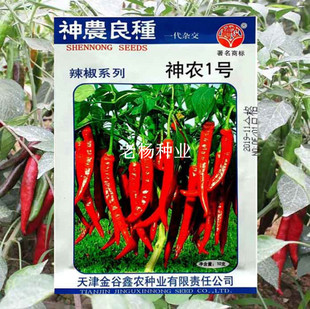 神农一号辣椒种子果长可泡腌制鲜食打酱干辣椒种籽春季四季蔬菜孑