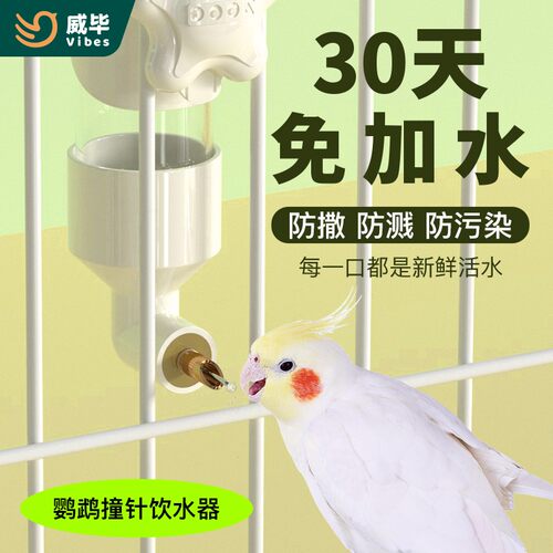 不漏水！鹦鹉鹦鹉专用撞针饮水器