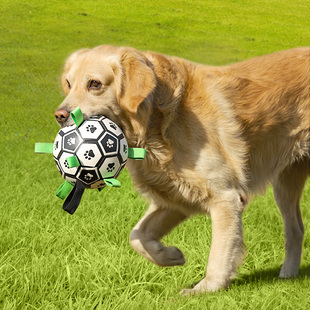狗狗玩具皮球足球磨牙耐咬爆爆球边牧柯基金毛互动解闷宠物用品