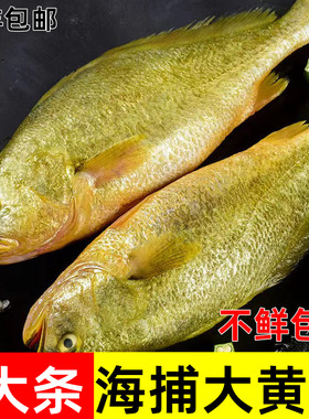 不鲜包退冰鲜发货坏单包赔