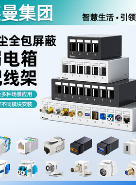 英曼4口8口6口12口24口网络配线架全屏蔽家用弱电箱理线器网线模块直通空架机柜理线架电视USB对接头RJ45接口