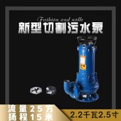 大元 排污泥浆泵化粪池沼气池养殖场污物无堵塞带铰刀大功率 切割式