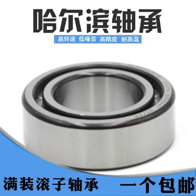 满装圆柱滚子轴承SL18/NCF 3006 3007 3008 3009 3011 3012哈尔滨