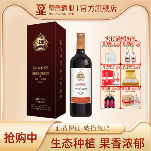 酒厂自营 凉州生态干红葡萄酒臻选赤霞珠红酒送礼婚宴用750ml