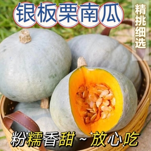 热卖辅食代餐粉糯甜正宗银栗南瓜