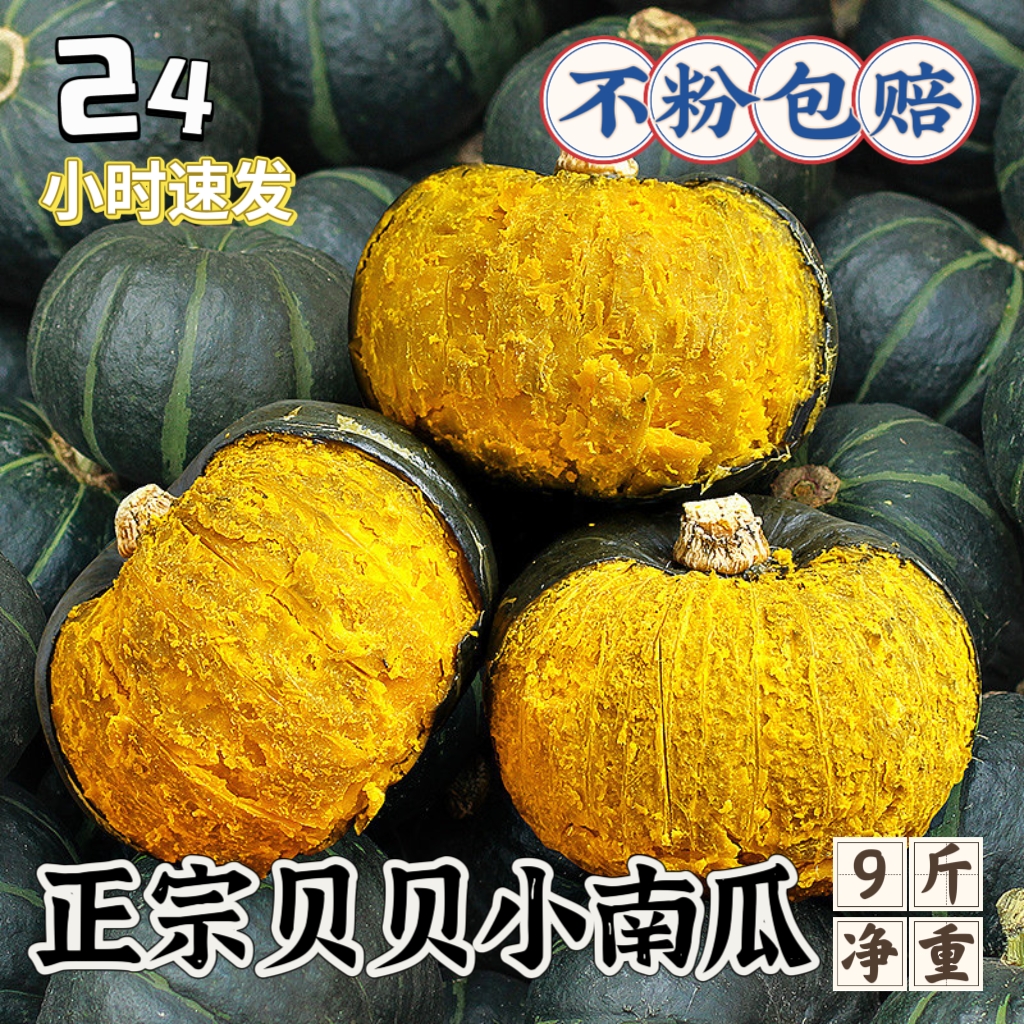 贝贝南瓜糯甜板栗味不粉包赔