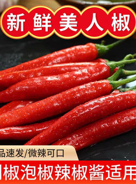 美人椒微辣农家红辣椒可泡椒剁酱
