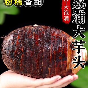 广西荔浦新鲜大芋头农家特产紫藤毛芋头香芋槟榔芋蔬菜