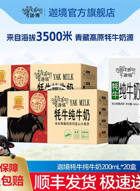 迦境牦牛纯牛奶高钙孕妇成人早餐耗奶200ml*10盒*2箱节日送礼