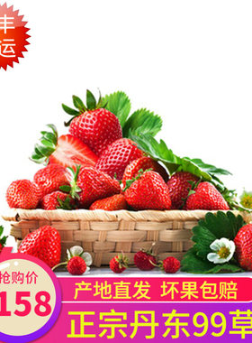 【现货】真鲜丹东99奶油红颜草莓 2件4斤九九新鲜水果精品大果2斤