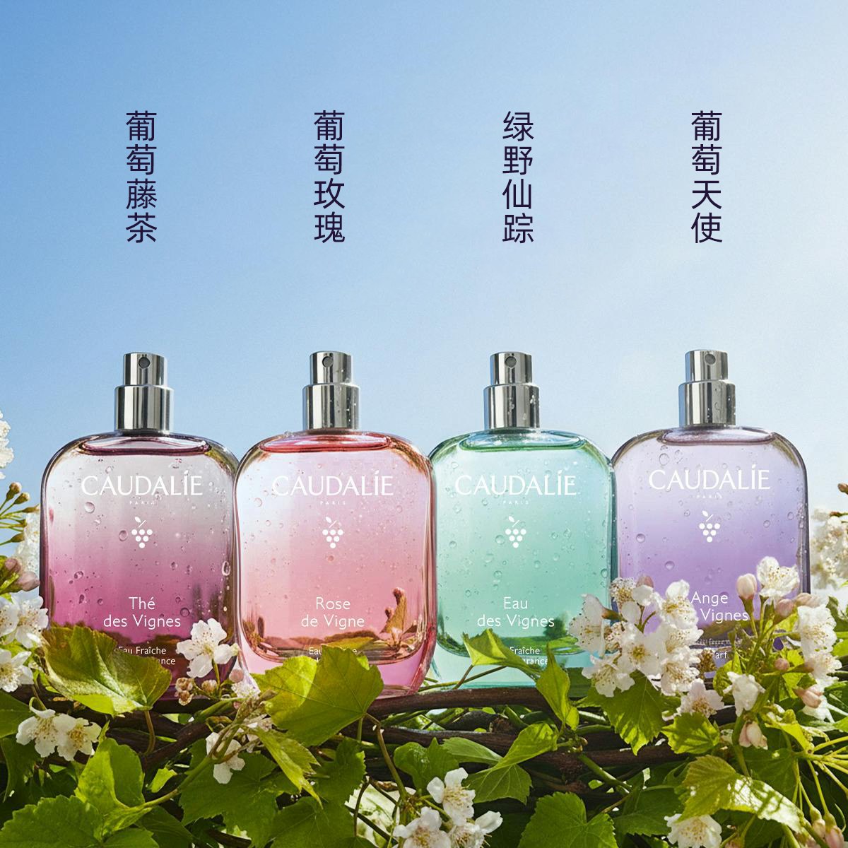 欧缇丽淡香水茶香玫瑰持久留香