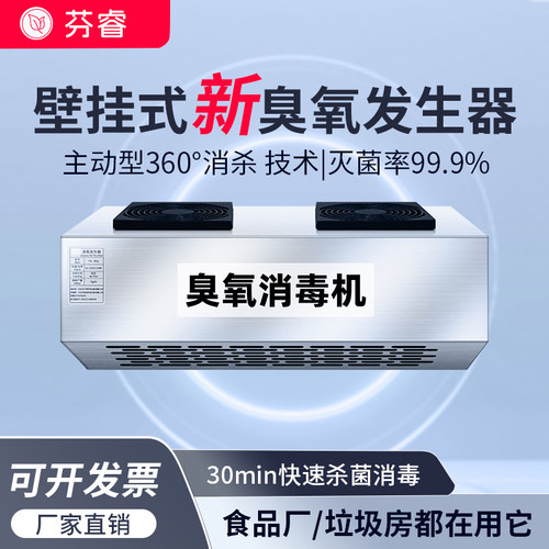 芬睿壁挂式臭氧发生器消毒机车间