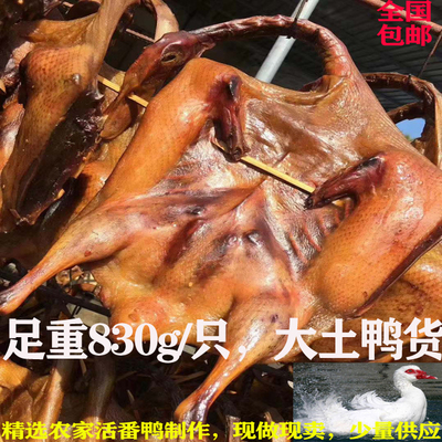 沙县三明莘口农家红头郑湖板鸭