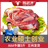 顺丰 包邮 3斤新鲜牛肉牛腩装 牛肉新鲜兰州发货