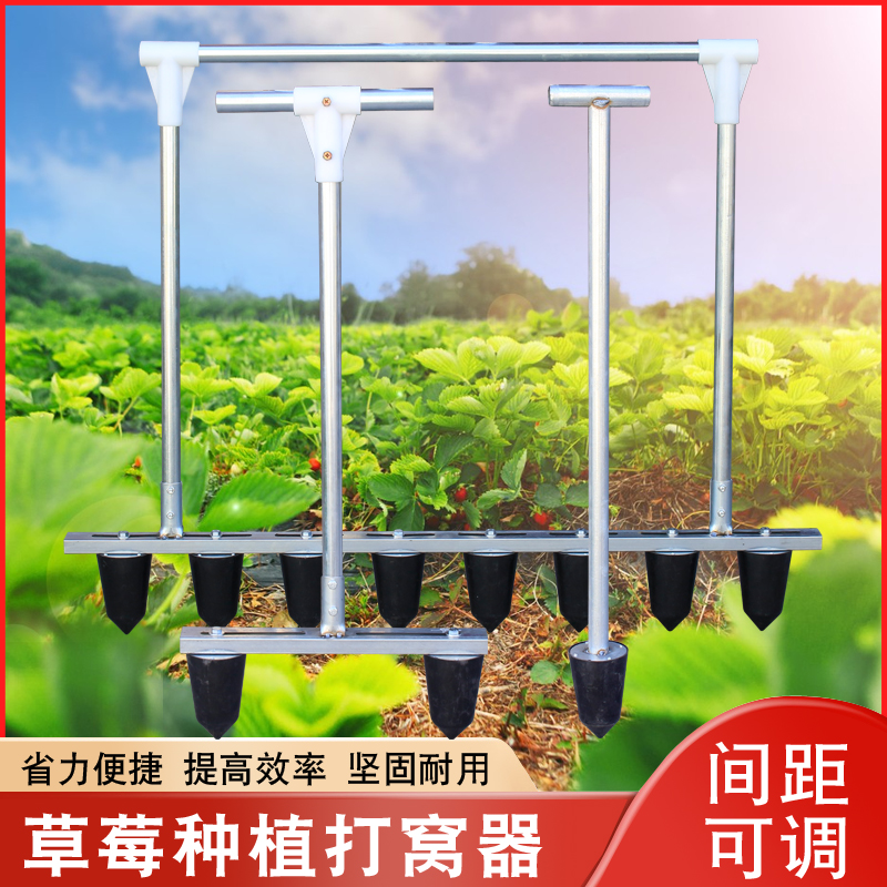 栽苗神器打孔机种植蔬菜打坑打眼农用工具农业草莓移苗定植打窝器