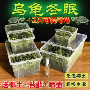 乌龟冬眠箱用品全套专用恒温盒特大号巴西龟过冬椰土苔藓保暖树脂