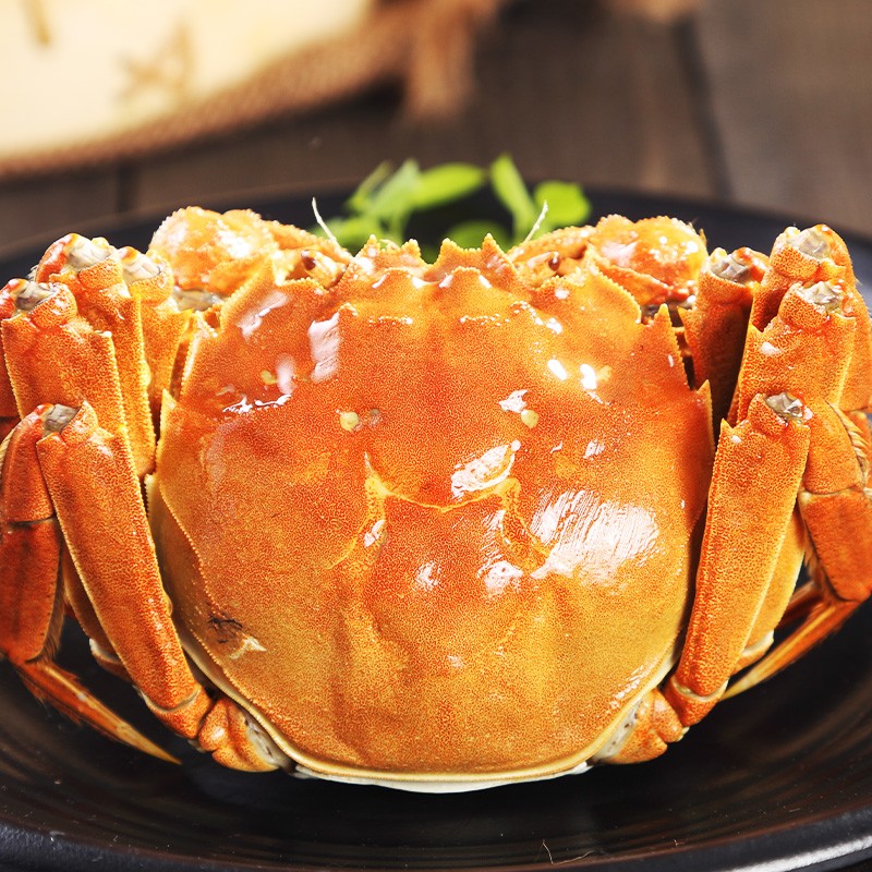 【活蟹现发】大闸蟹全母蟹3.0两8只螃蟹礼盒装