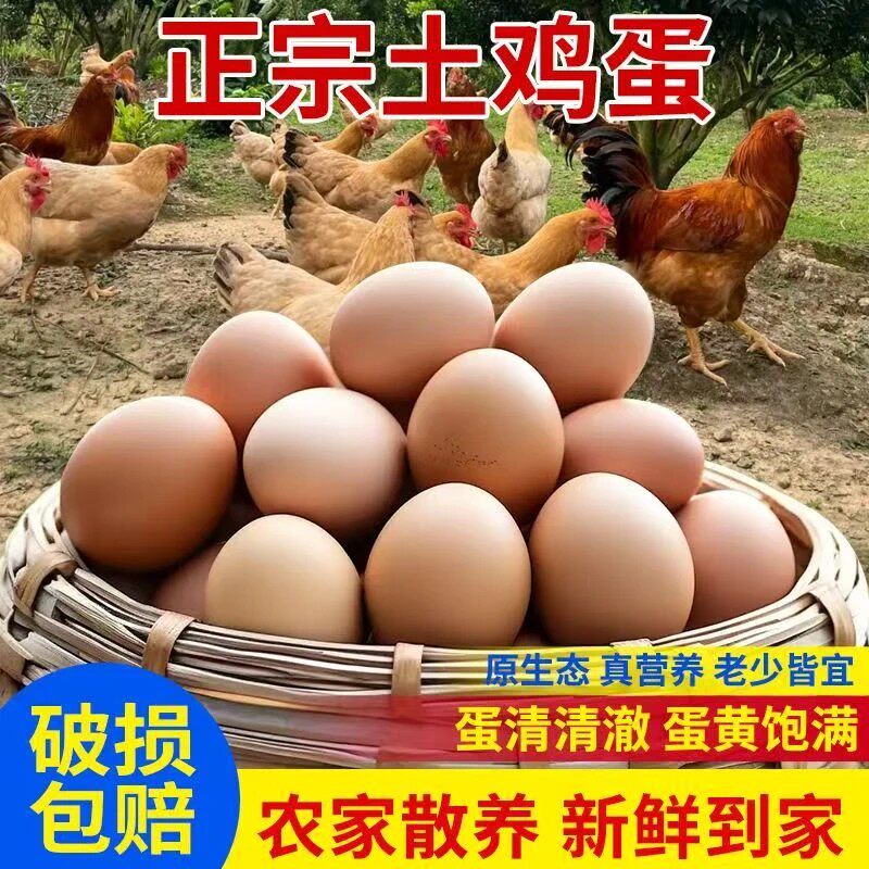 破损包赔50枚农家散养新鲜土鸡蛋谷物喂养营养健康营养土鸡蛋