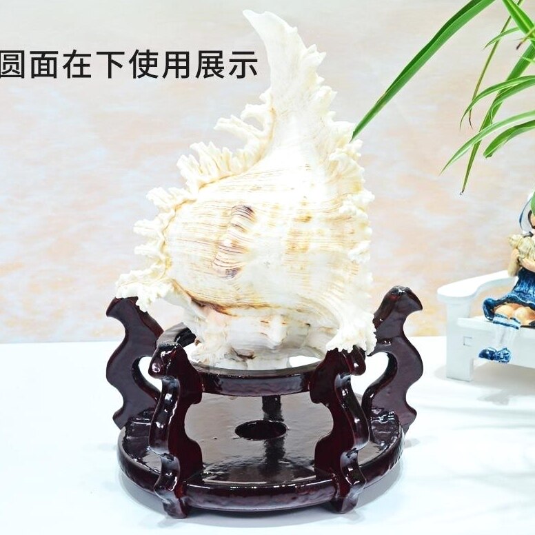 高脚木质底座托架海螺花瓶花盆底坐石头香炉鱼缸木托盘架摆件底座