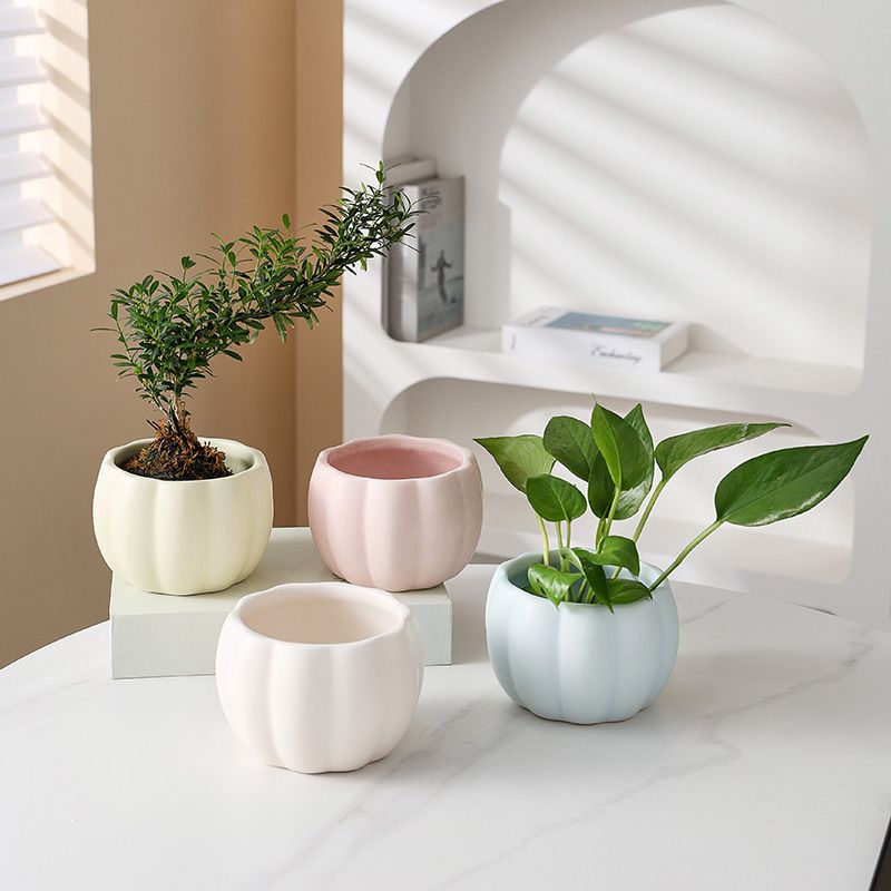 花盆花盆陶瓷南瓜清仓哑光无孔花盆透气花盆多肉植物多肉盆小号可