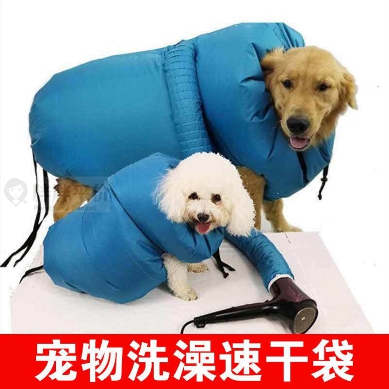 宠物冬天猫咪洗澡速干袋烘干箱大型犬狗吹毛神器烘干机家用吹风