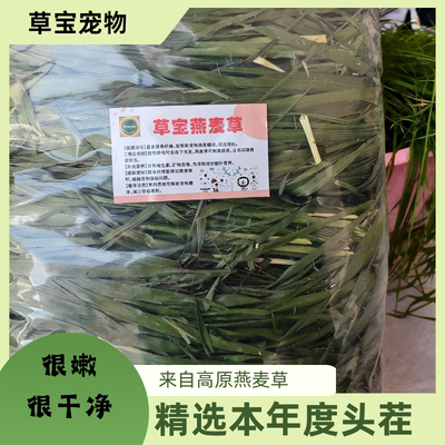 头茬烘干高品质精品高纤维黑燕麦草荷兰猪粮食宠物草