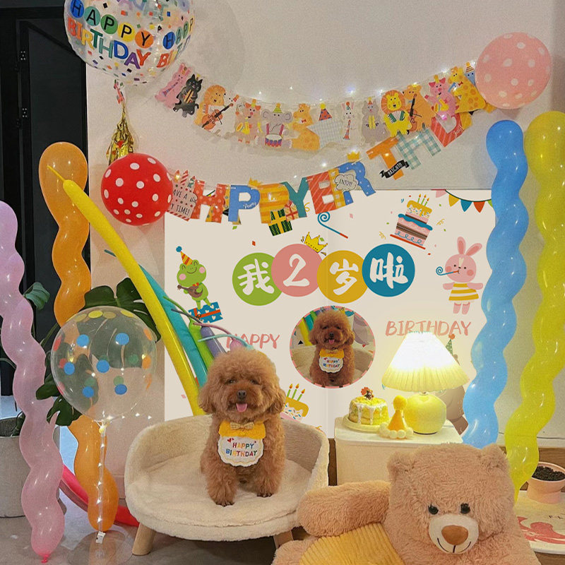气球猫咪生日小狗生日宠物拍照
