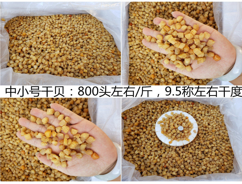 湛江特产干贝瑶柱500g淡干品海鲜干货海产品小扇贝400头700-800头